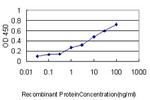 TUFM Antibody in ELISA (ELISA)