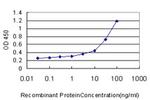 UROD Antibody in ELISA (ELISA)