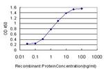 USF1 Antibody in ELISA (ELISA)