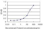 VAV1 Antibody in ELISA (ELISA)