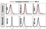 Cell-Surface Vimentin (CSV) Antibody in Flow Cytometry (Flow)