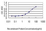 VSNL1 Antibody in ELISA (ELISA)
