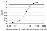 YWHAZ Antibody in ELISA (ELISA)