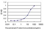 ZIC1 Antibody in ELISA (ELISA)
