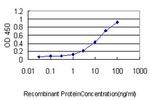 ZNF143 Antibody in ELISA (ELISA)