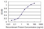 PXDN Monoclonal Antibody (2C11)