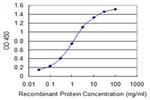 PTP4A2 Monoclonal Antibody (3C2)