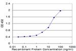 USP9Y Monoclonal Antibody (2D3)