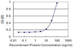 EOMES Antibody in ELISA (ELISA)