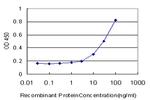 TTF2 Antibody in ELISA (ELISA)