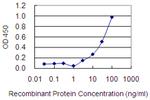 PSMG1 Monoclonal Antibody (4B9)