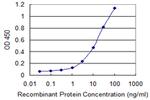 EIF3S3 Antibody in ELISA (ELISA)