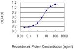 MYOM1 Antibody in ELISA (ELISA)