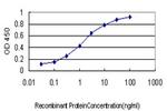 RIOK3 Antibody in ELISA (ELISA)