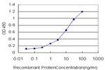 VNN1 Antibody in ELISA (ELISA)