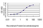 SQSTM1 Antibody in ELISA (ELISA)