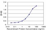 SLC7A7 Antibody in ELISA (ELISA)