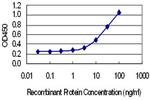 SYT7 Monoclonal Antibody (4H4)