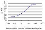SYNGR2 Antibody in ELISA (ELISA)