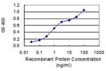 DEDD Antibody in ELISA (ELISA)