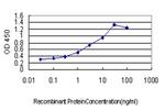FAIM3 Antibody in ELISA (ELISA)