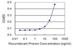 NOG Monoclonal Antibody (3A2)