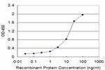 STK17A Antibody in ELISA (ELISA)