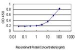 CD83 Antibody in ELISA (ELISA)