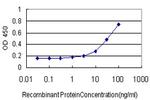 TRIP13 Monoclonal Antibody (3A5)