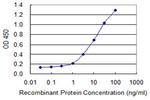 CNOT8 Monoclonal Antibody (1F11)