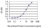 NRXN1 Monoclonal Antibody (4F7)
