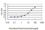 LIPG Antibody in ELISA (ELISA)