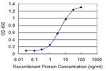 CDY2A Antibody in ELISA (ELISA)