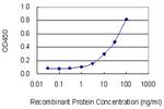EIF4E2 Antibody in ELISA (ELISA)
