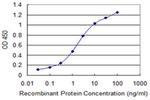 PMPCB Monoclonal Antibody (3C3)