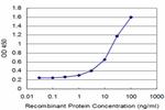SPAG6 Monoclonal Antibody (2F3)
