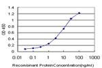 CREB5 Antibody in ELISA (ELISA)