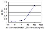 ULK2 Antibody in ELISA (ELISA)