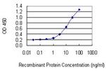 C6ORF32 Antibody in ELISA (ELISA)