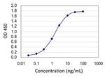 MLL4 Antibody in ELISA (ELISA)
