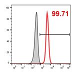 TOMM20 Antibody in Flow Cytometry (Flow)