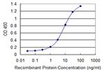 PJA2 Antibody in ELISA (ELISA)