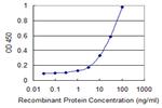 ARNT2 Monoclonal Antibody (1B2)