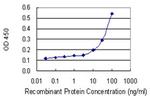 BCL2L11 Antibody in ELISA (ELISA)