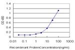 SH2D3C Antibody in ELISA (ELISA)