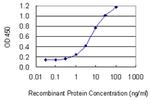 ARPC5 Monoclonal Antibody (2D10)