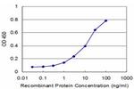 MPHOSPH6 Antibody in ELISA (ELISA)