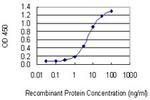 LANCL1 Monoclonal Antibody (9A12)