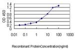 WFDC2 Antibody in ELISA (ELISA)
