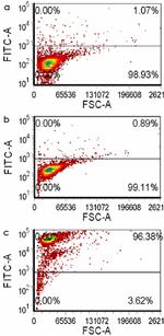 CAP1 Antibody in Flow Cytometry (Flow)
